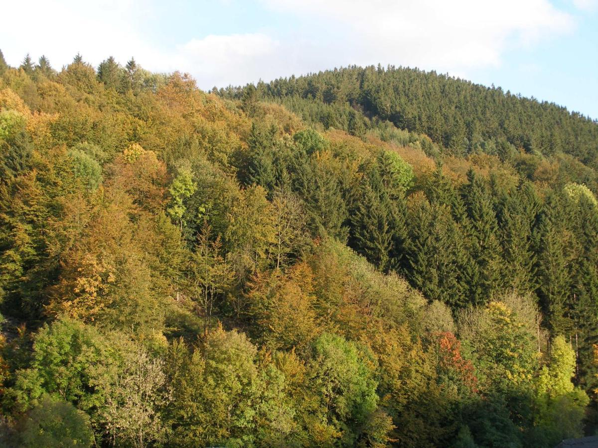 Pension Haus Waldfrieden, Meinecardplus Inklusive Виллинген Номер фото