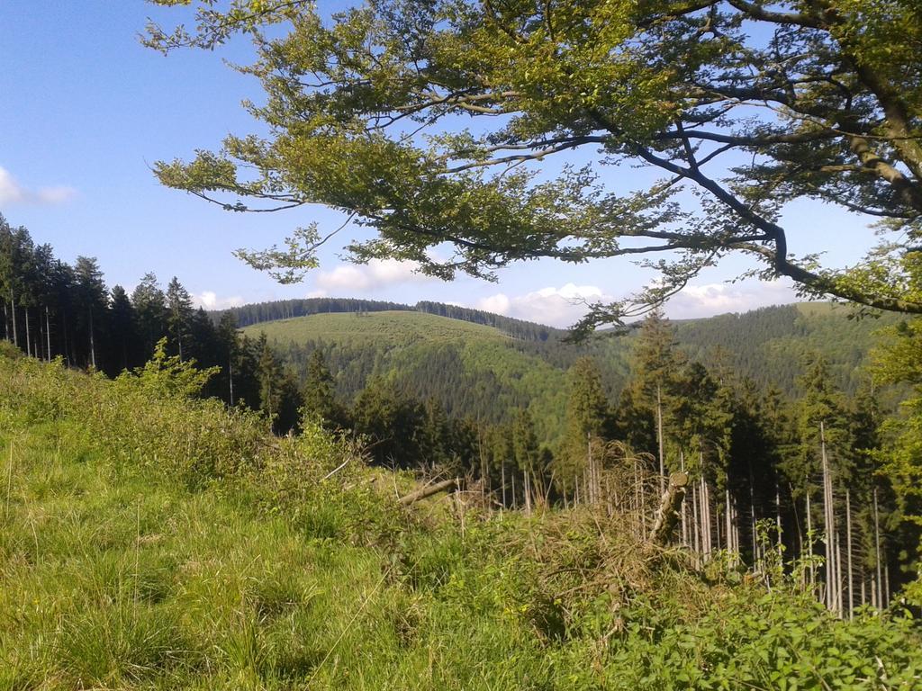 Pension Haus Waldfrieden, Meinecardplus Inklusive Виллинген Экстерьер фото