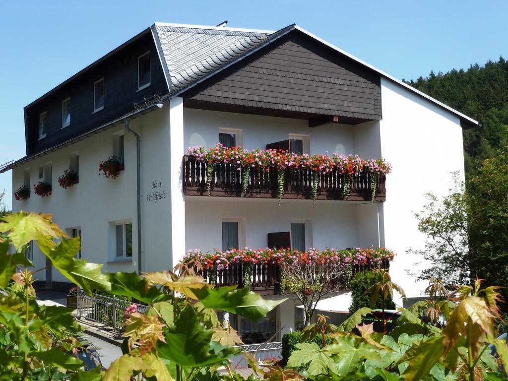 Pension Haus Waldfrieden, Meinecardplus Inklusive Виллинген Экстерьер фото