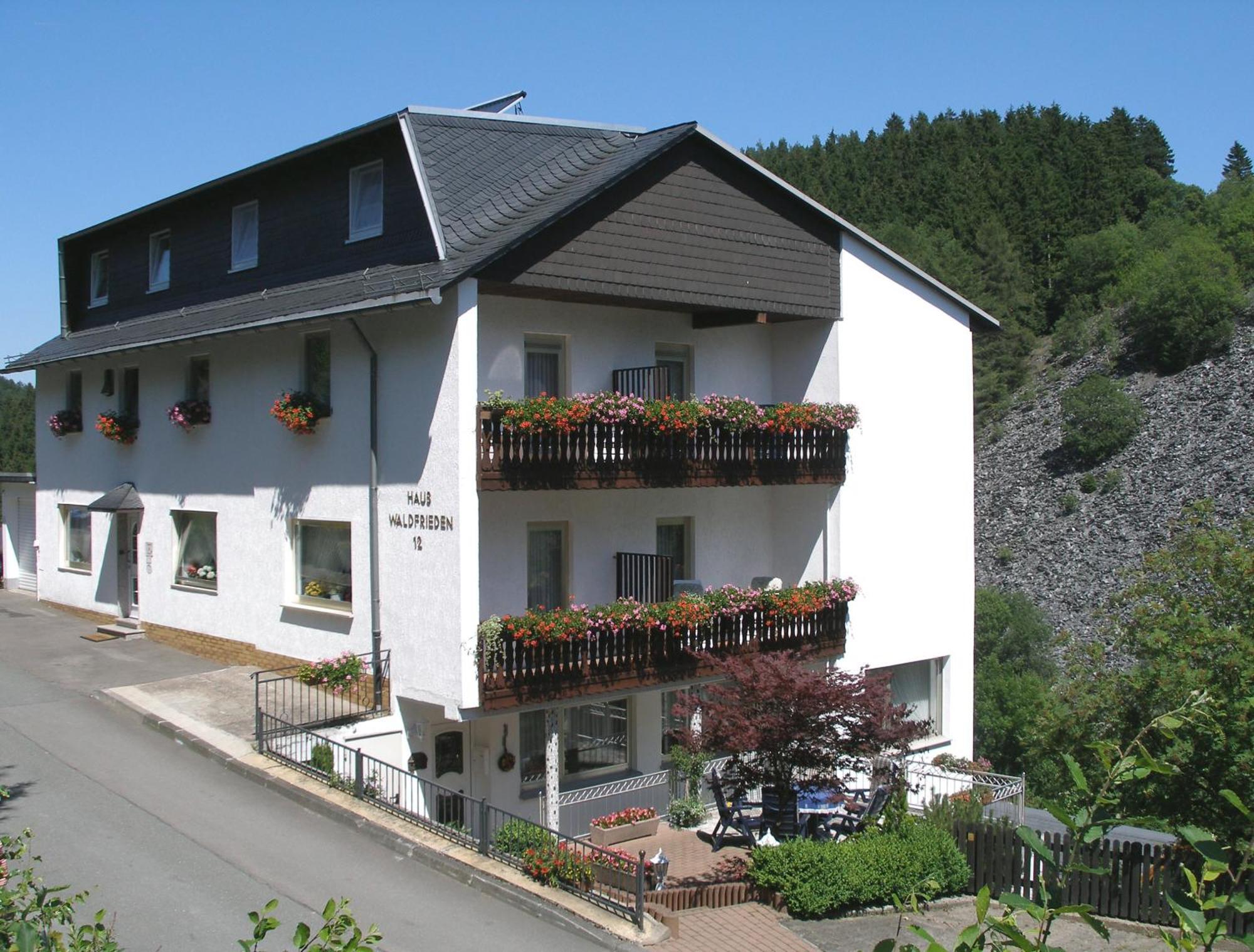 Pension Haus Waldfrieden, Meinecardplus Inklusive Виллинген Экстерьер фото