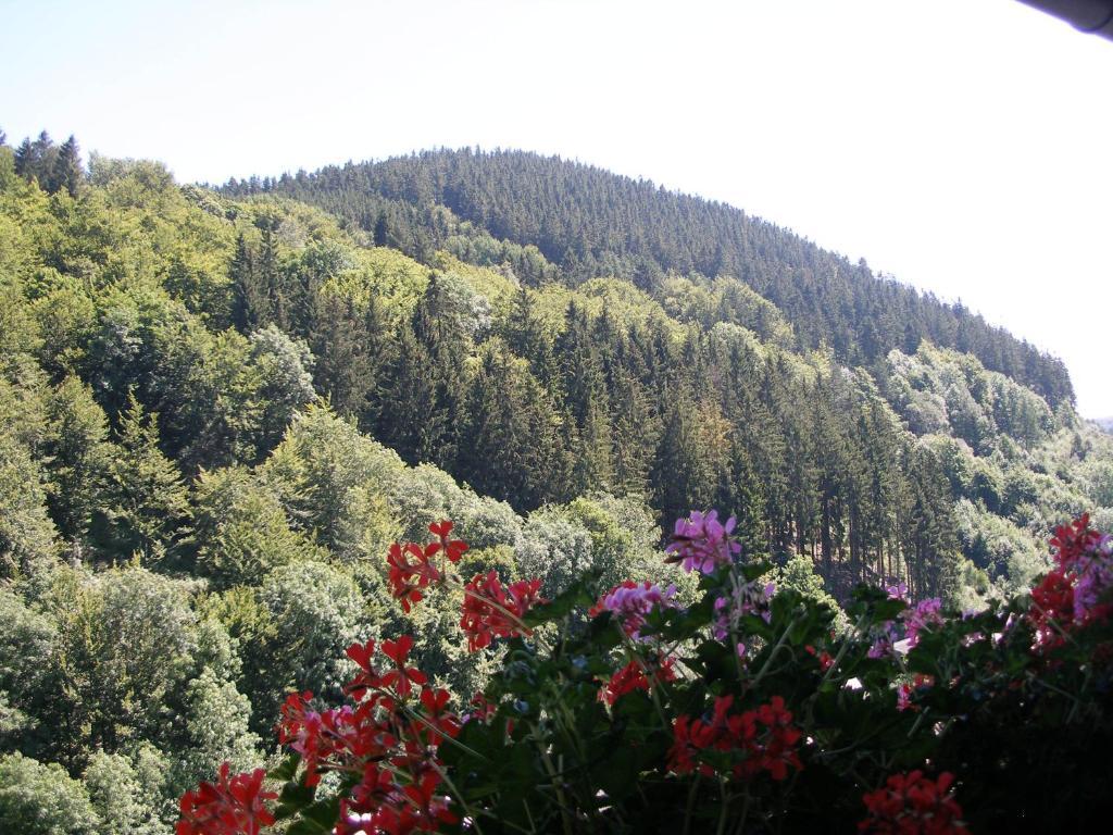Pension Haus Waldfrieden, Meinecardplus Inklusive Виллинген Экстерьер фото