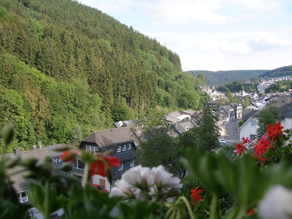 Pension Haus Waldfrieden, Meinecardplus Inklusive Виллинген Экстерьер фото
