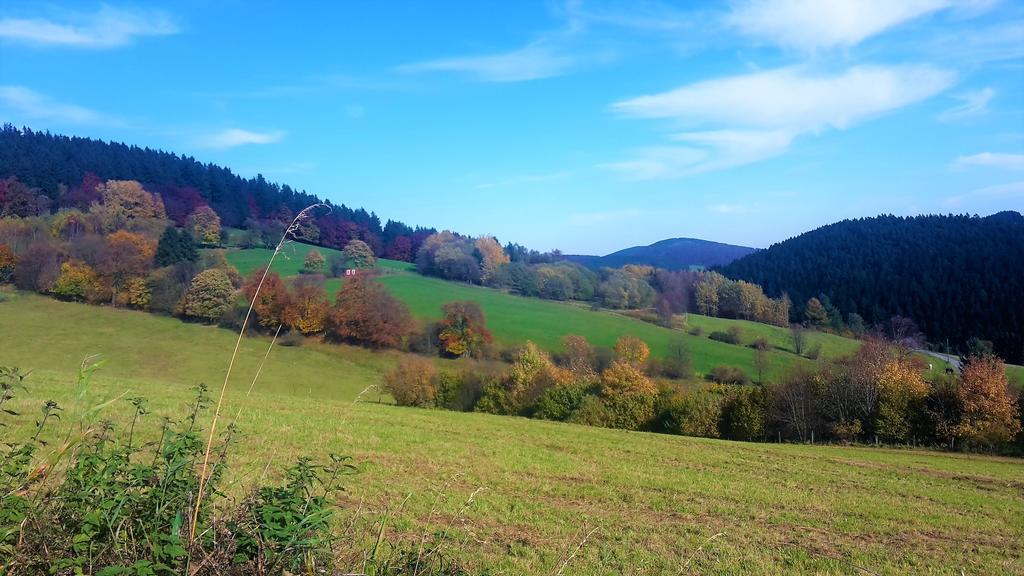 Pension Haus Waldfrieden, Meinecardplus Inklusive Виллинген Экстерьер фото