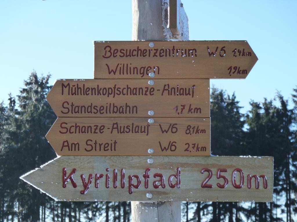 Pension Haus Waldfrieden, Meinecardplus Inklusive Виллинген Экстерьер фото