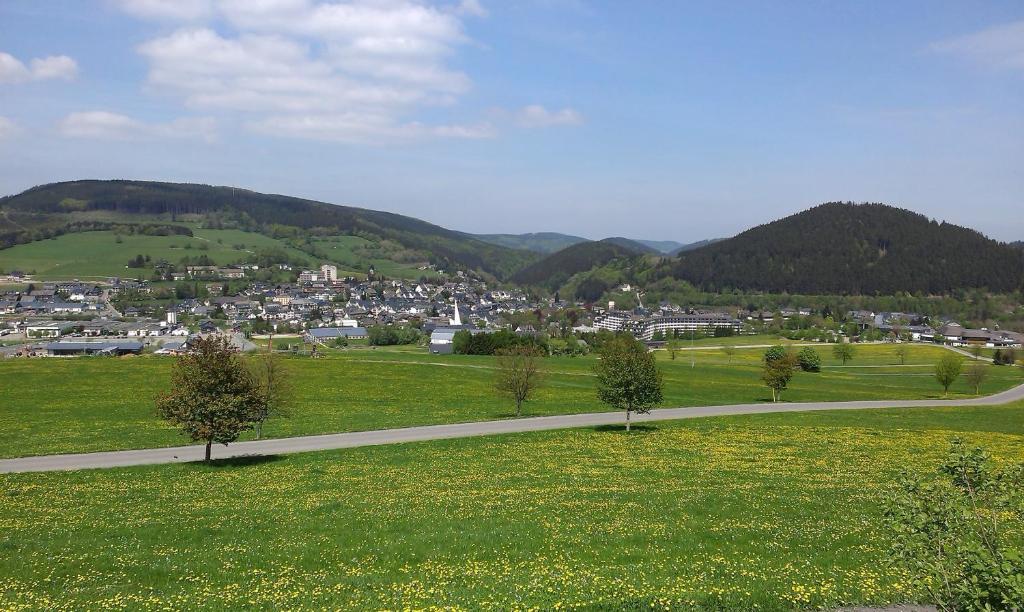 Pension Haus Waldfrieden, Meinecardplus Inklusive Виллинген Экстерьер фото