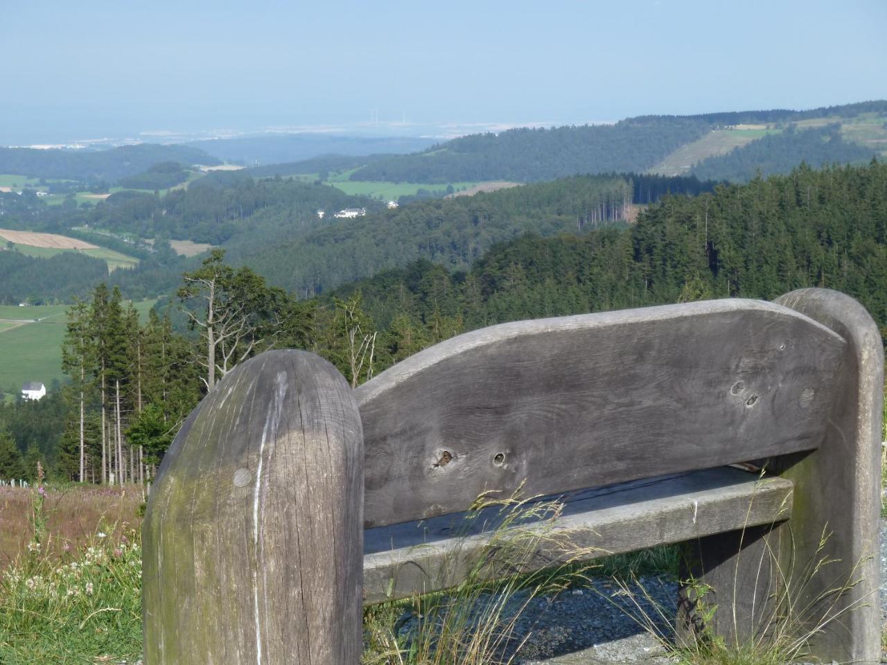 Pension Haus Waldfrieden, Meinecardplus Inklusive Виллинген Экстерьер фото