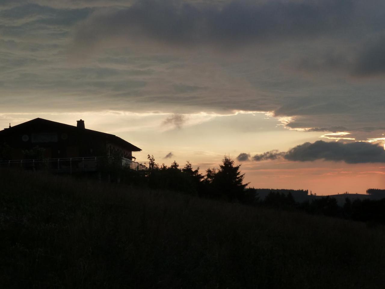 Pension Haus Waldfrieden, Meinecardplus Inklusive Виллинген Экстерьер фото