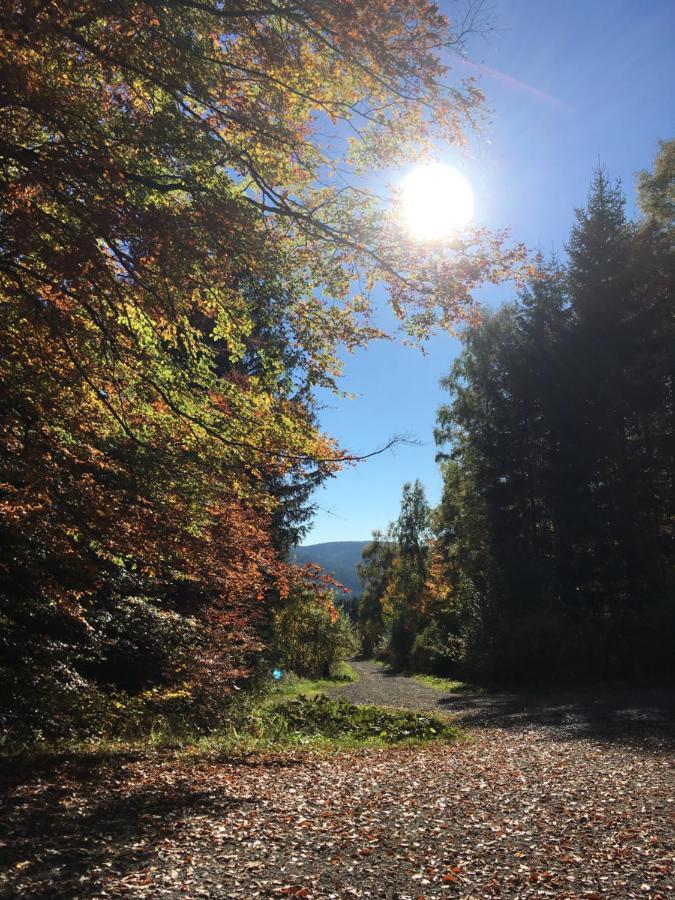 Pension Haus Waldfrieden, Meinecardplus Inklusive Виллинген Экстерьер фото